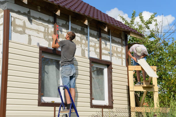 Affordable Siding Repair and Maintenance Services in Boyceville, WI